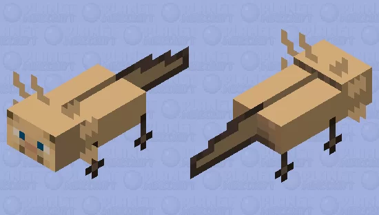 Steve Axolotl