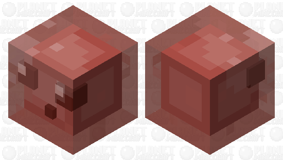 Blastocyst Minecraft Skin