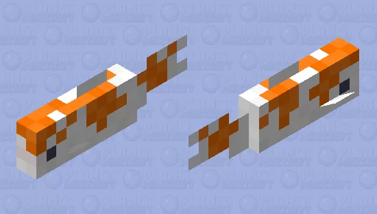 Koi Cod
