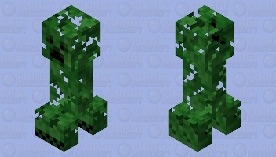 (Not lush) Oak leaf Creeper