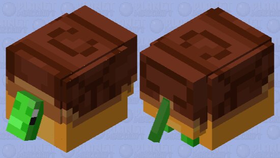 Pet Turtle