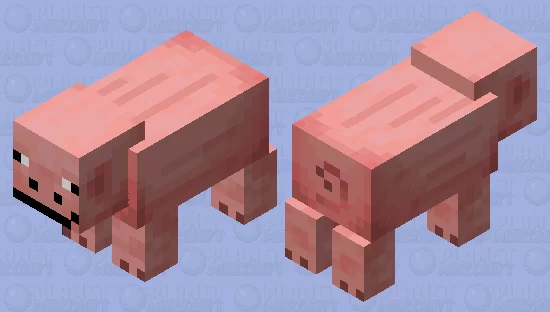 Smirking Pig