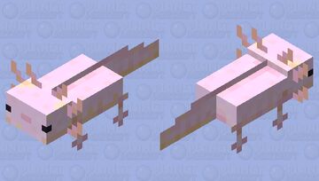 pink and orange axolotl Minecraft Mob Skin