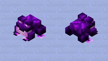 Void Touched Toad Minecraft Mob Skin