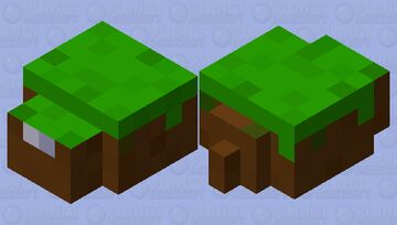 Did that dirt block just move??? Minecraft Mob Skin