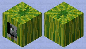 Sneaky Pillager - Melon Minecraft Mob Skin