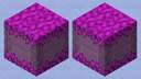 Ancient shulker Minecraft Mob Skin