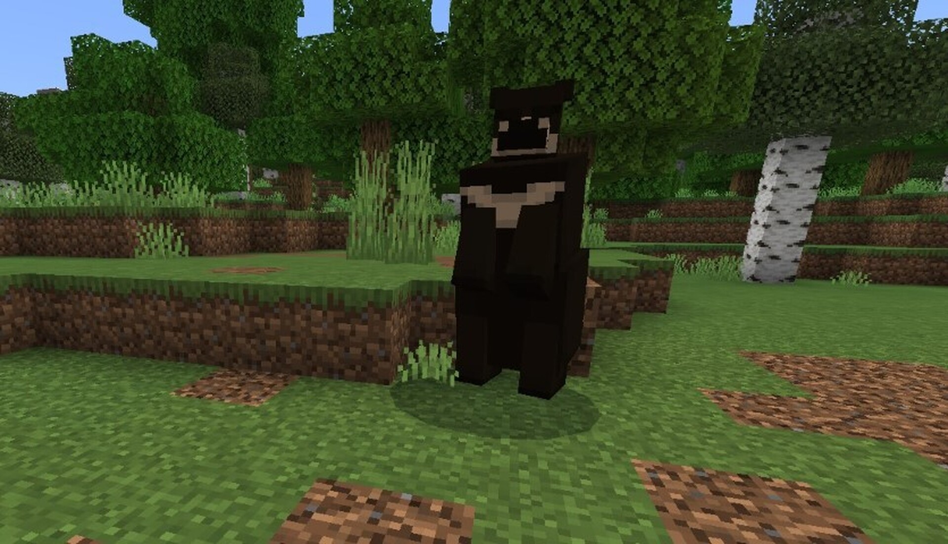 Addon Black and Grizzly Bear [Minecraft Bedrock] Minecraft Mod