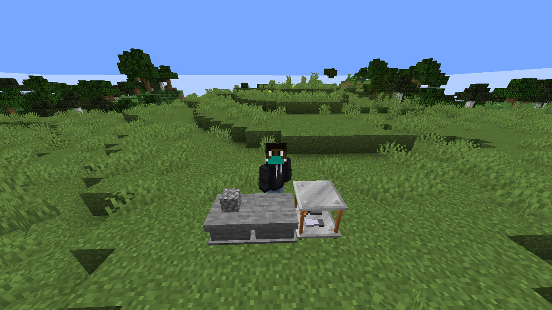 Statues Mod for 1.16.4 (may work in other version but I have not tested