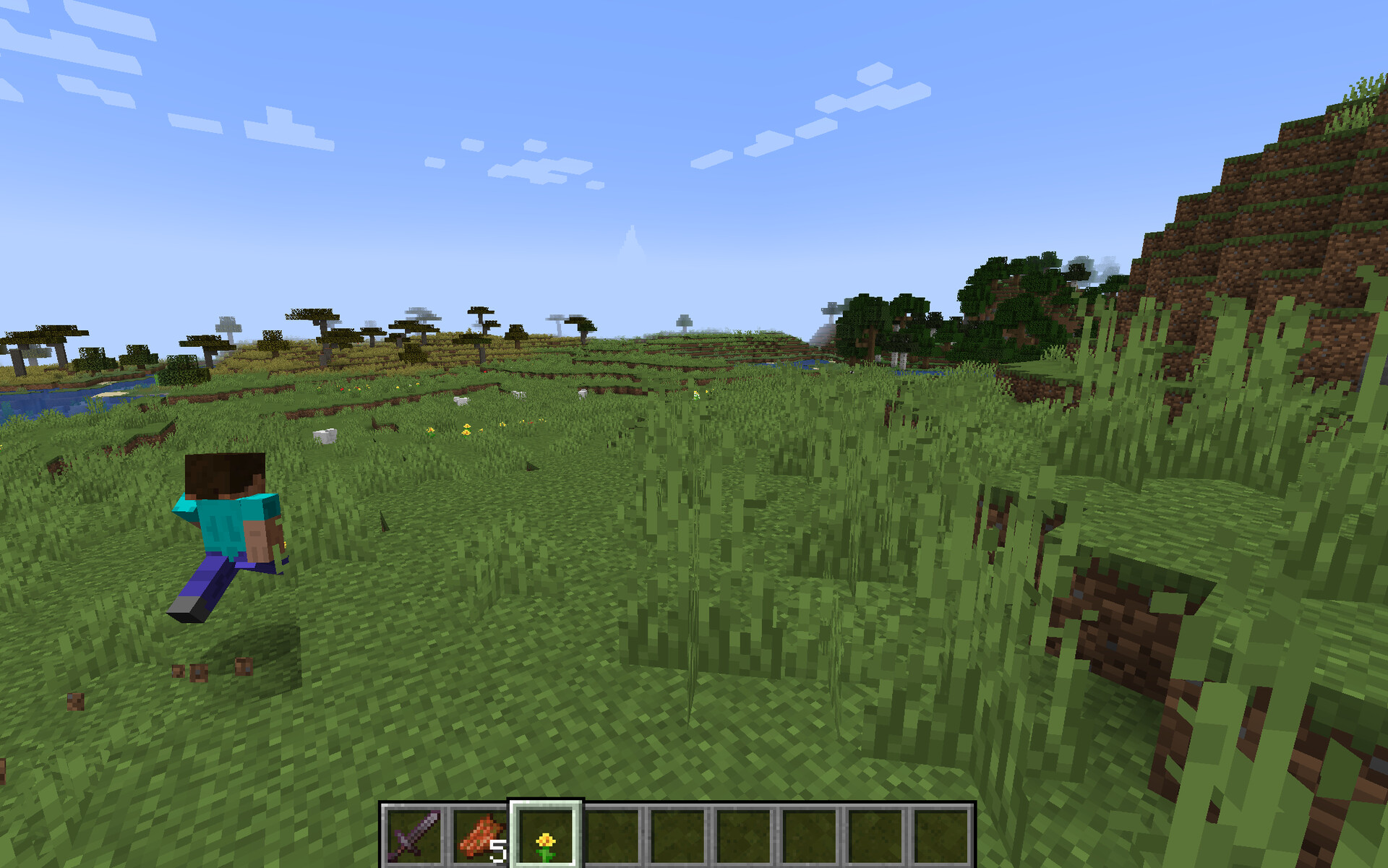 YDM's Custom Camera View Minecraft Mod