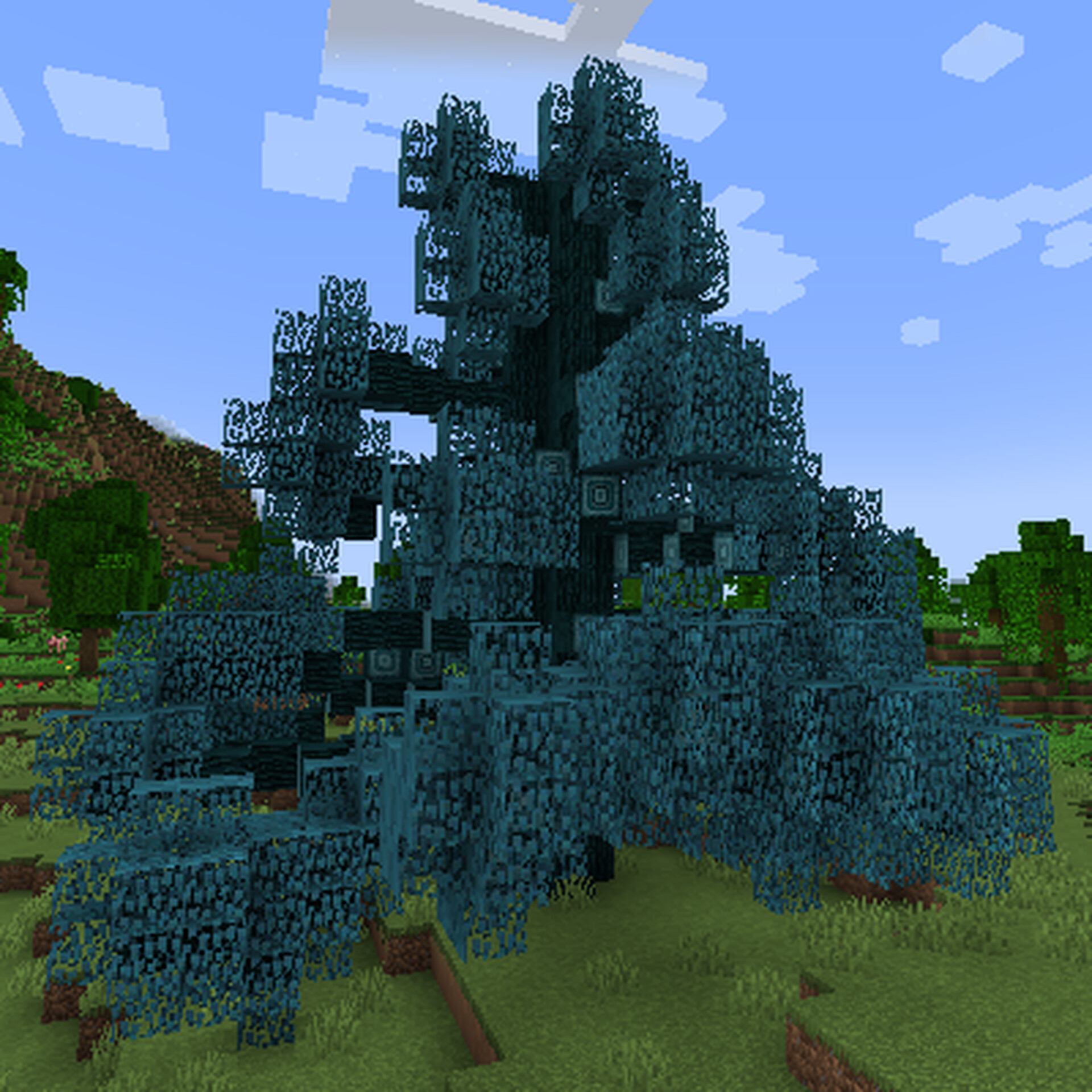 Epic Battle Of The Trees: Pine Vs. Oak! - c1jgyqu