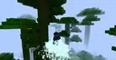 Weeeeeeee!