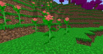 Fairy's End 1.19.2 Port Minecraft Mod