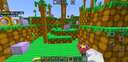 Sonic the Hedgehog BLOCKS! Minecraft Mod