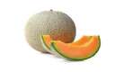 cantaloupe mod Minecraft Mod