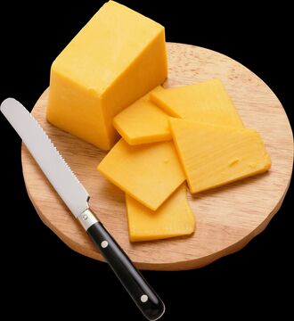 Cheese+ Minecraft Mod