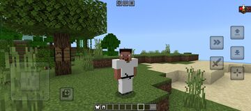 SK addon [beta] 0.0.1 pe 1.21.50 Minecraft Mod
