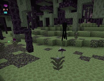 End Expansion Minecraft Mod
