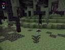 End Expansion Minecraft Mod