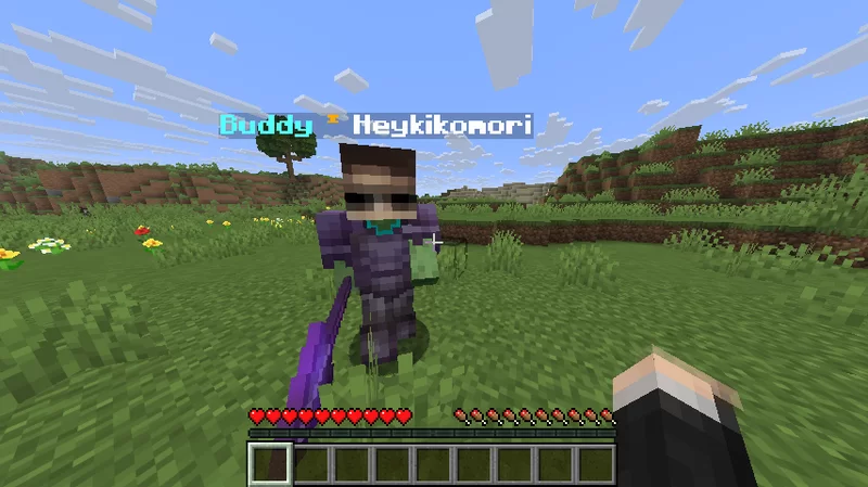 🧟 Buddy – Your Loyal Bodyguard (Fabric-Mod 1.21.11) Minecraft Mod