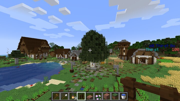 Birchwood Village Minecraft Map