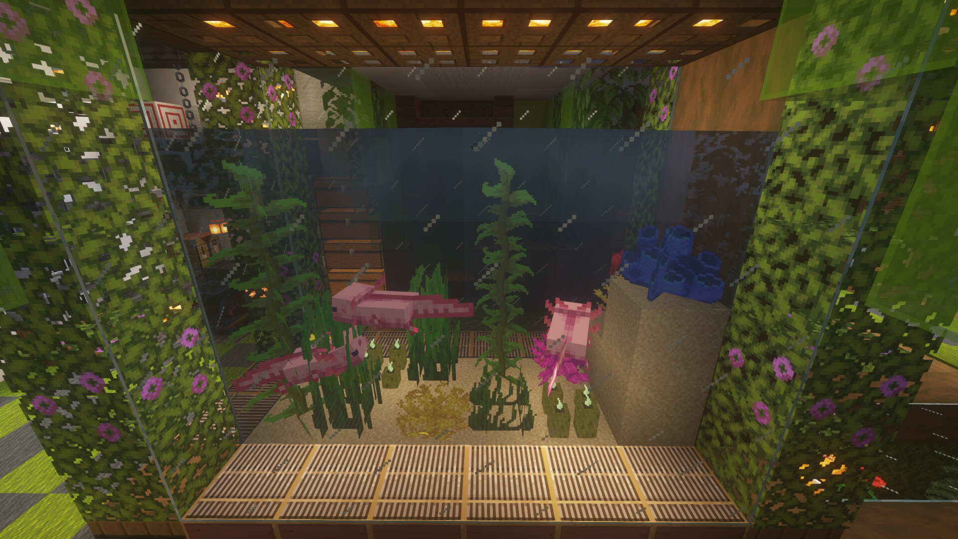Axolotl House Minecraft Map