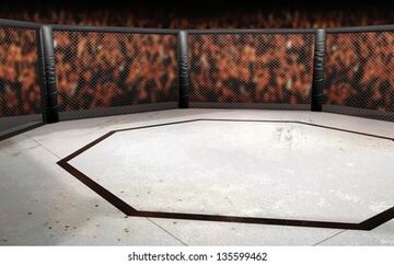 ufc Minecraft Map & Project