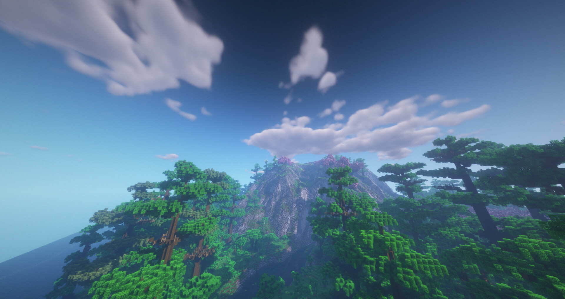 Minecraft custom Jungle Cherry Blossom island map (Worldpainter) 1k x