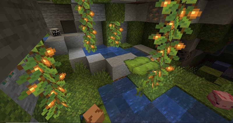 Mini world Minecraft Map
