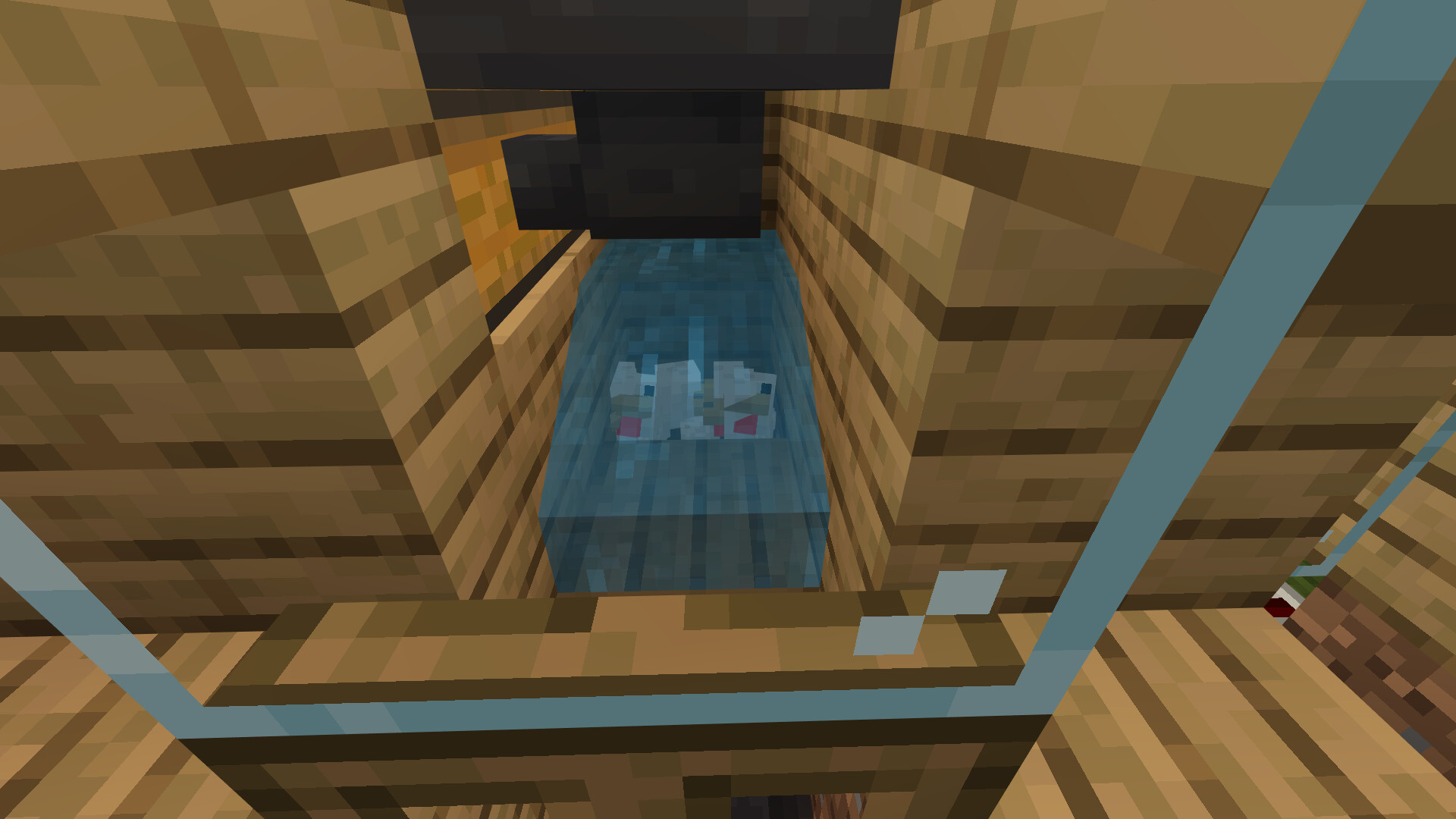 Chicken Farm AND Egg Collector Raw OR Cooked Chicken Minecraft Map