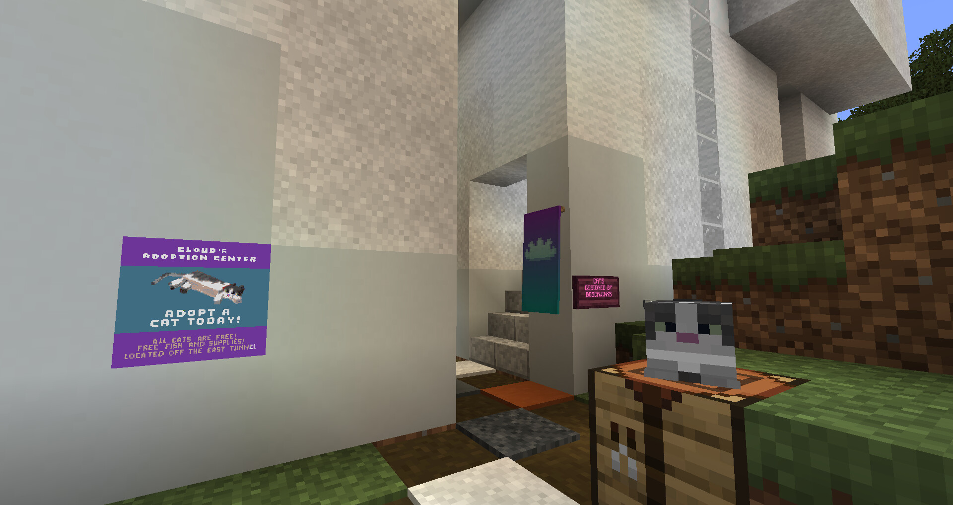 Cloud's Cat Adoption Center Minecraft Map