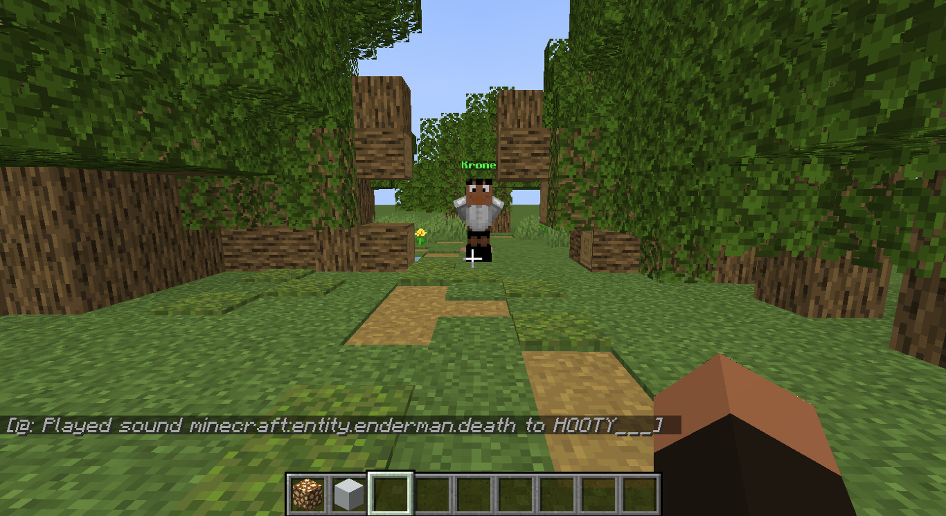 The promised neverland house (inside not done) read description