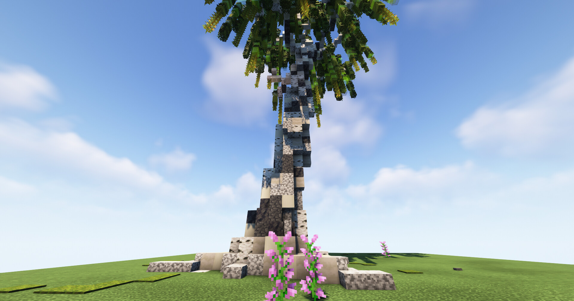 A Tall Birch Tree! l Free to Use! Minecraft Map