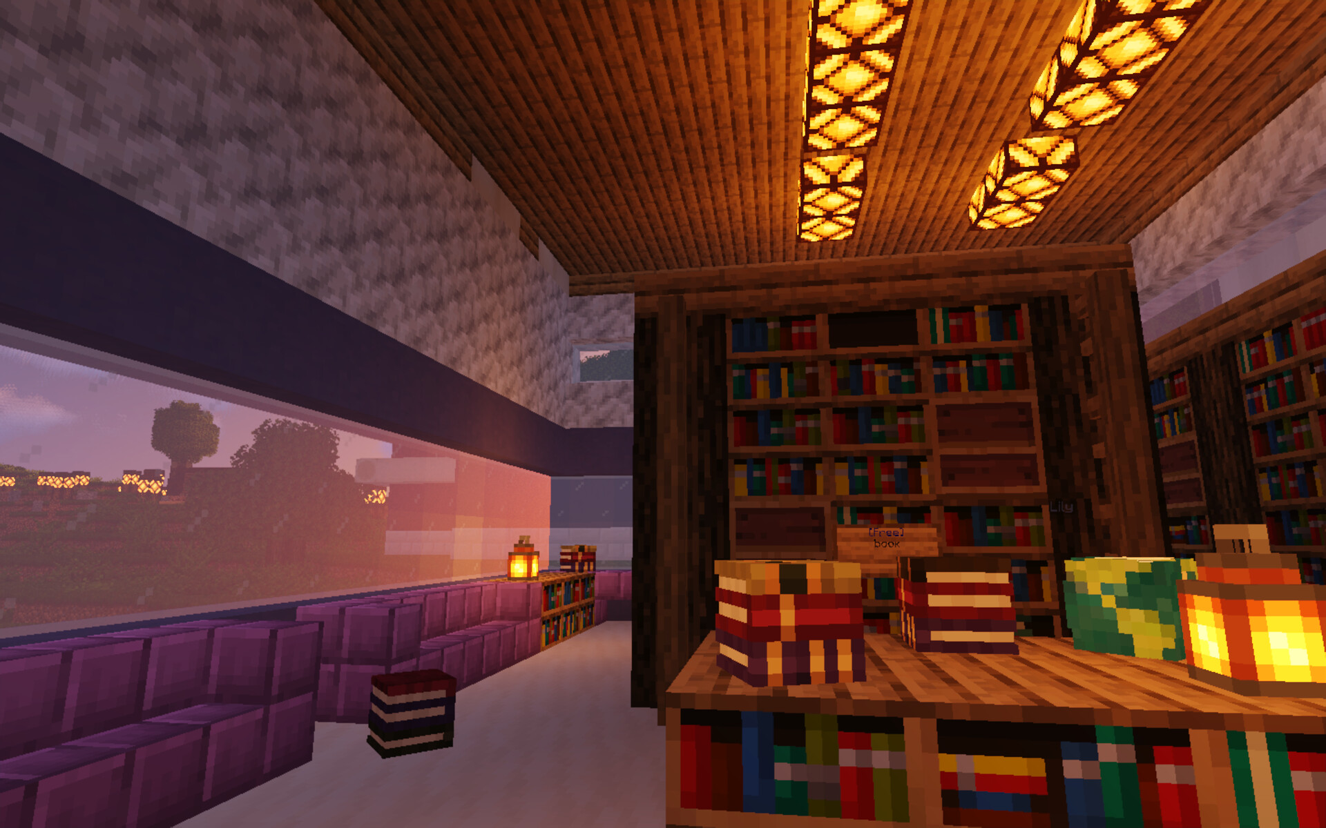 The Library! (Where you can publish your stories) Minecraft Map