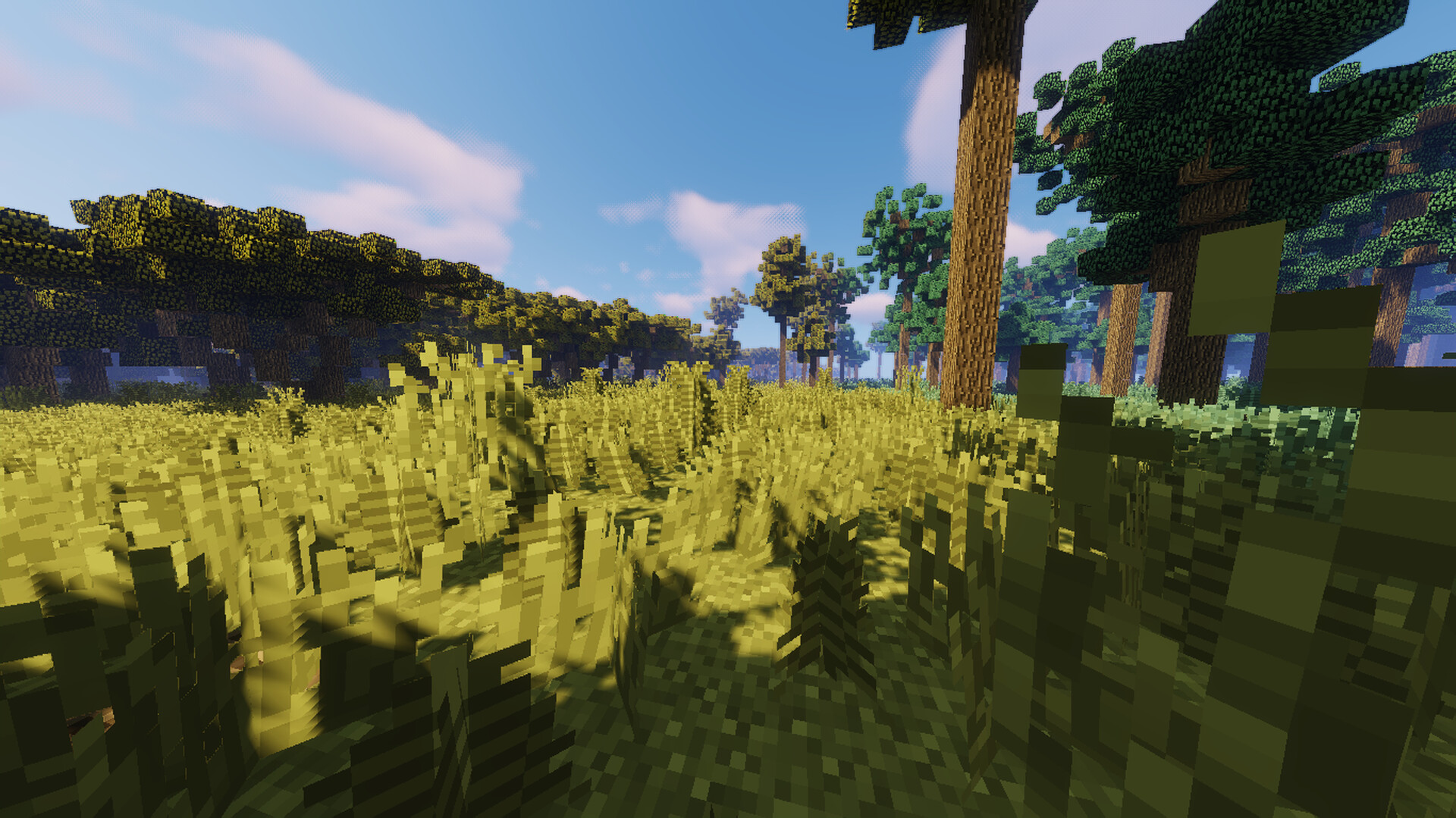 MINECRAFT MAP 3000x3000 (World Painter) Minecraft Map