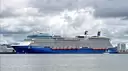 The REAL Celebrity Silhouette