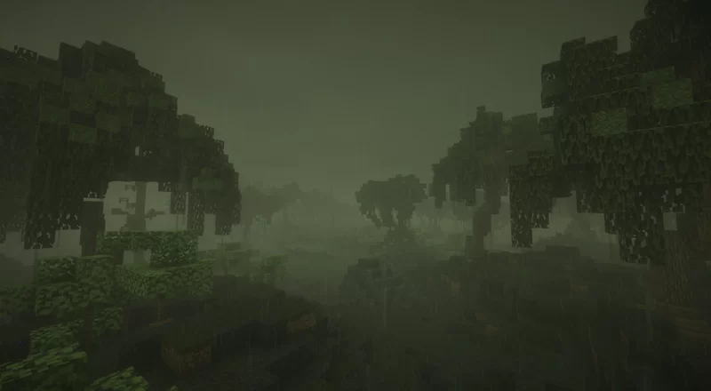 Swamp