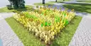 Ideas for other types of fields