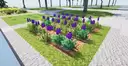 Ideas for lavender fields
