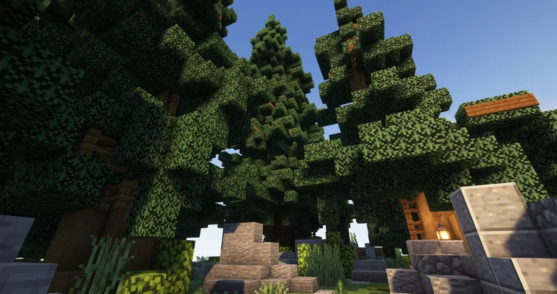 Huge pine tree pack / Huge pine tree bundle Minecraft Map