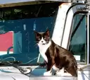 he been waiting for you all morning cmon we gotta drive