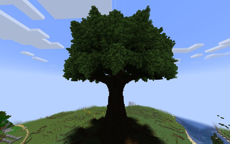 Grand Oak Tree