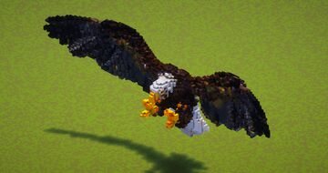 Eagle Minecraft Map & Project