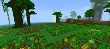 Junglefield Minecraft Map & Project