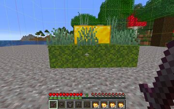 warden Minecraft Map & Project