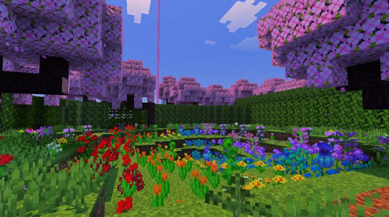 flower field outback of the cafe.