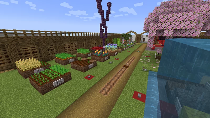 See all the plants in all their phases!