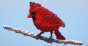 Red cardinal Minecraft Map & Project