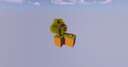Ultimate Ski Block Minecraft Map & Project