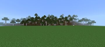 Flattened Birch World Minecraft Map & Project